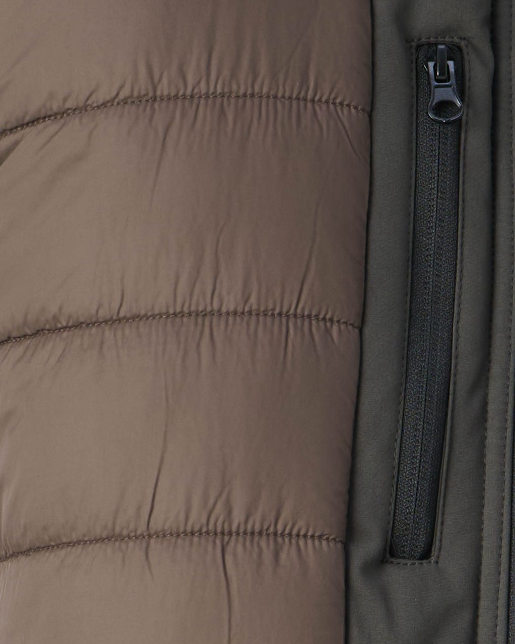 Campbell Gewatteerde jas